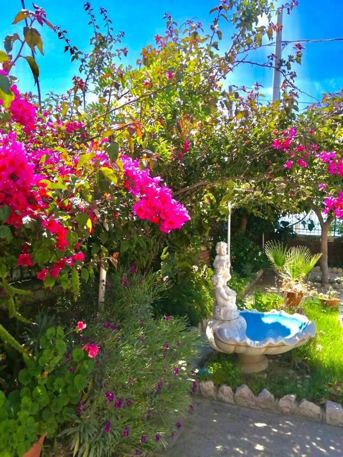 Villa Tripepi Bova Marina Bagian luar foto